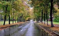 بارش باران در مناطق مختلف گیلان