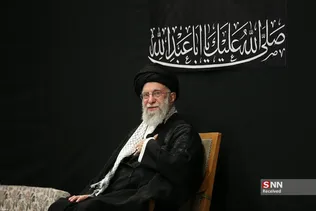 دبب