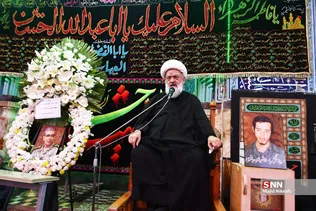 دبب