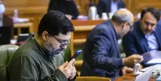 نادعلی: در مسئله حل آلودگی هوا بیش از ۲۰ دستگاه دخیل هستند