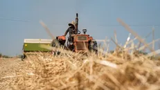 قطعی برق و ضرر وارده به کشاورزان در شهرستان کوهرنگ