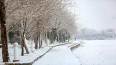 آغاز بارش برف در مناطق شمالی پایتخت