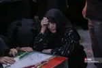 دبب