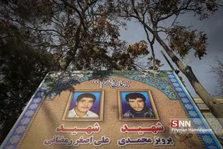 تشیع شهید
