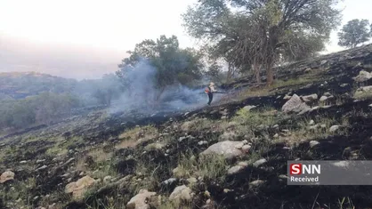 مهار آتش&zwnj;سوزی گسترده در ارتفاعات روستای گردوه با تلاش نیرو&zwnj;های مردمی و منابع طبیعی