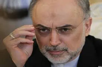 صالحی: انگلیس در کارگروه بازسازی آب سنگین اراک، جایگزین آمریکا شد