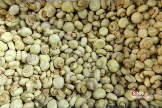 بازدید خبرنگاران از طرح‌های اقتصاد مقاومتی استان مازندران