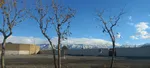 کوه های سفید پوش