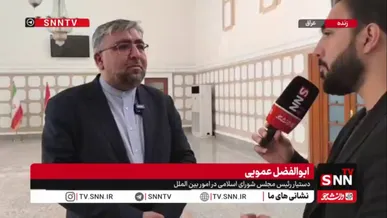 عمویی: نیروهای فرامنطقه‌ای عامل اصلی ناامنی هستند / نظم امنیتی منطقه در حال تغییر است