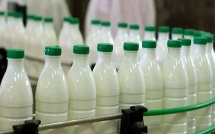عوارض صادرات شیرخشک قیمت لبنیات را تا ۳۰ درصد گران خواهد کرد
