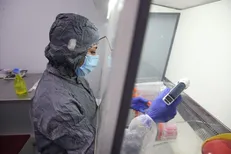 جایز نیست نتایج مطالعات مؤسسه ملی 