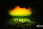 567