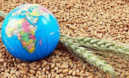 بحران جهانی مواد غذایی و مدیریت موفق آن در دولت رئیسی
