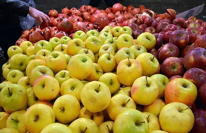میوه را برای میان&zwnj;وعده دانش&zwnj;آموزان جدی بگیرید