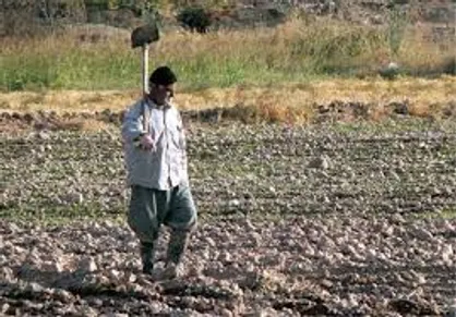 پرداخت اولین &laquo;عیدی&raquo; به بازنشستگان روستایی وعشایر