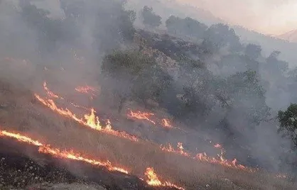 باز شدن پرونده آتش سوزی زاگرس &laquo;در انتهای الوند&raquo;