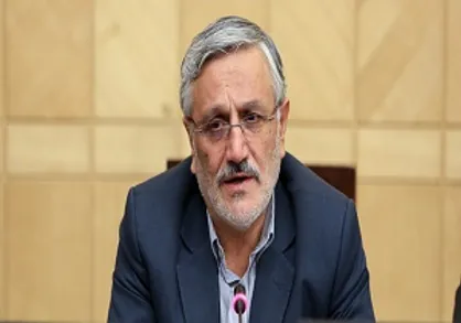 میرزایی نیکو: نمایندگان مجلس برای خواستار تعطیلی شورا&zwnj;ها شدند