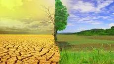 لزوم حرکت به سمت توسعه پایدار و ایجاد شهر‌های تاب آور در برابر تغییر اقلیم
