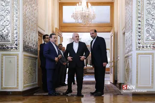 دیدار ظریف با وزیر امور خارجه ژاپن