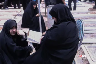 دبب