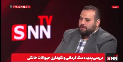 عبدالحمیدی: آمار حمله سگ&zwnj;ها به انسان&zwnj;ها به تازگی به شدت رو به افزایش است + فیلم