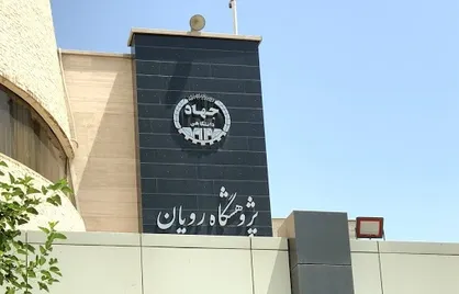 پژوهشگاه رویان، مطلب دروغ صراط نیوز را تکذیب کرد