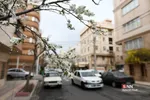 چند قدم مانده تا بهار