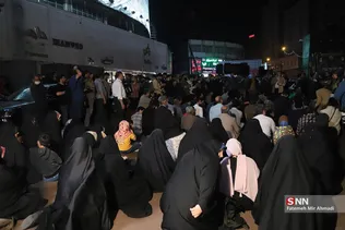 دبب