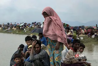 روهینیگا