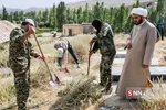 فیروز کوه