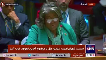 نماینده آمریکا در نشست شورای امنیت: آمریکا در حمله اسرائیل به ایران هیچ دخالتی نداشت