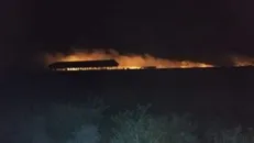 اصابت ۲ موشک کاتیوشا به شمال بغداد