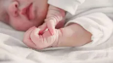 پایین‌ترین نرخ باروری در کشور ثبت شده است