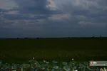 657546456456