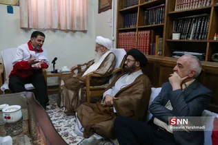 دیدار  مدیرعامل جمعیت هلال احمر کشور باآیت‌الله صافی گلپایگانی مرجع تقلید شیعیان