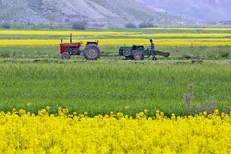 اجرای الگوی کشت نیازمند همکاری و عزم همگانی است