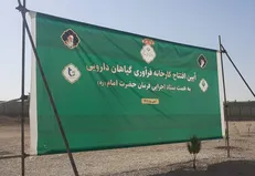 کارخانه میلیاردی گیاهان دارویی گچساران خاک می‌خورد و مسئولان تماشا می‌کنند!+ فیلم