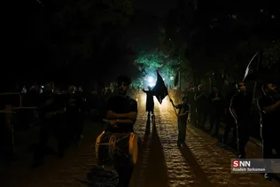 دبب