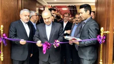 سلطانی‌فر: شیخ سلمان گفت: تجدیدنظر می‌کند