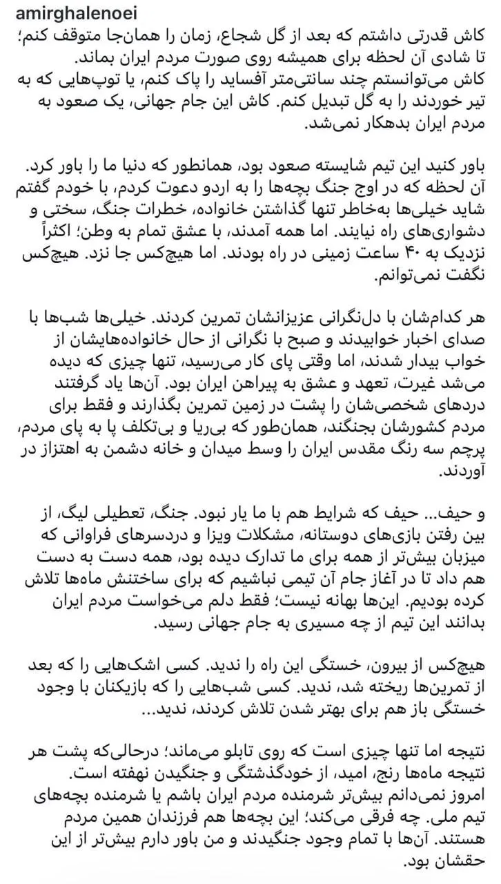 امیر قلعه نویی