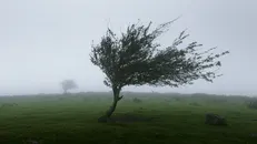 هشدار نارنجی هواشناسی درباره تشدید سرعت وزش باد در اردبیل