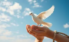 با میانگین سنی ۲۴ تا ۶۹ سال مددجویان محکوم به قصاص با گذشت اولیای دم نجات یافتند