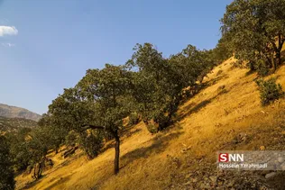 طبیعت بکر اطراف روستا و ابشار بیشه