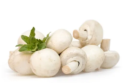 قیمت انواع قارچ و جوانه/عرضه قارچ دکمه&zwnj;ای و صدفی و ۵ نوع جوانه گیاهی
