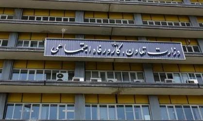 معاون امور تعاون وزارت تعاون، کار و رفاه اجتماعی منصوب شد