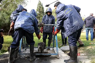 بازدید خبرنگاران از روند لایروبی نیروهای خدمات شهری شهرداری تهران
