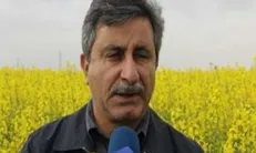 سازمان محصولات صنعتی تشکیل می‌شود