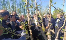 خسارت ۴ همتی به بخش کشاورزی آذربایجان غربی