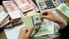 برخی واردکنندگان با ارز دولتی مانند ماهی از دست نهاد‌های نظارتی فرار می‌کنند