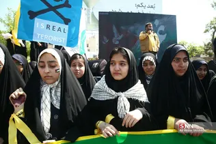 دبب